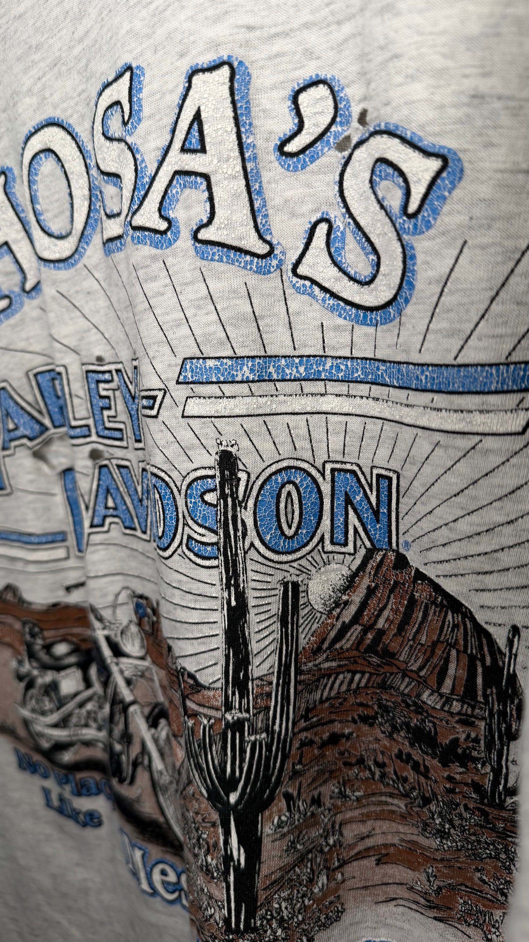 HARLEY-DAVIDSON LIGHTNING LONGSLEEVE | MESA, AZ BACKHIT