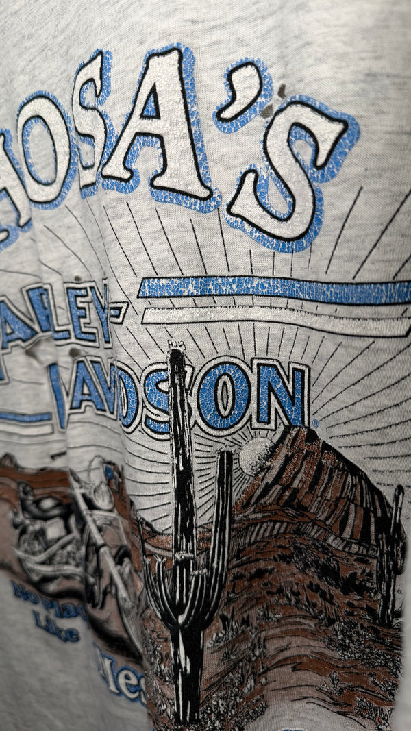 HARLEY-DAVIDSON LIGHTNING LONGSLEEVE | MESA, AZ BACKHIT