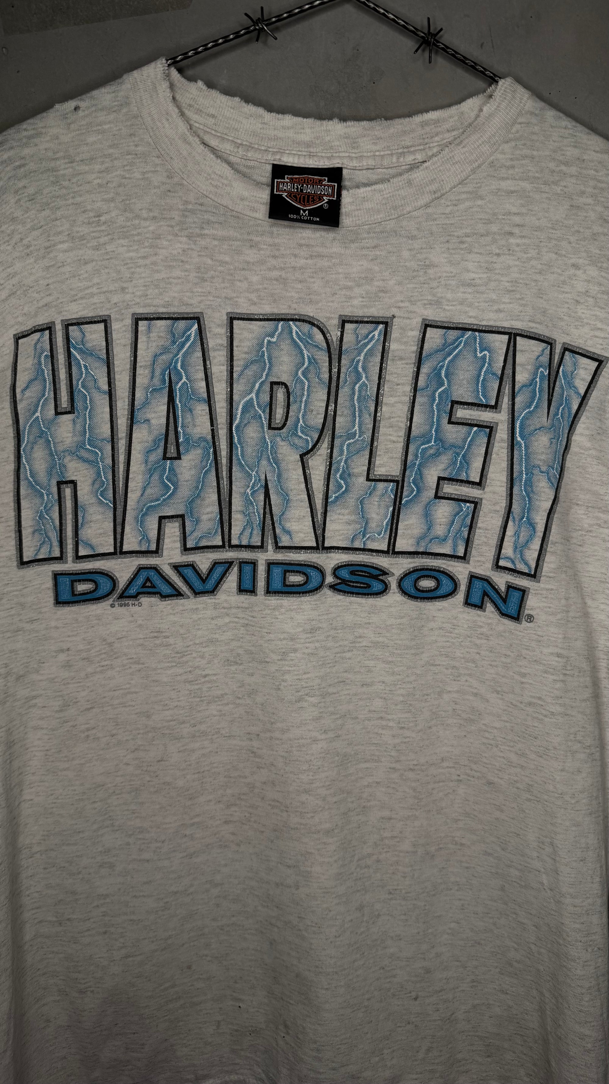 HARLEY-DAVIDSON LIGHTNING LONGSLEEVE | MESA, AZ BACKHIT