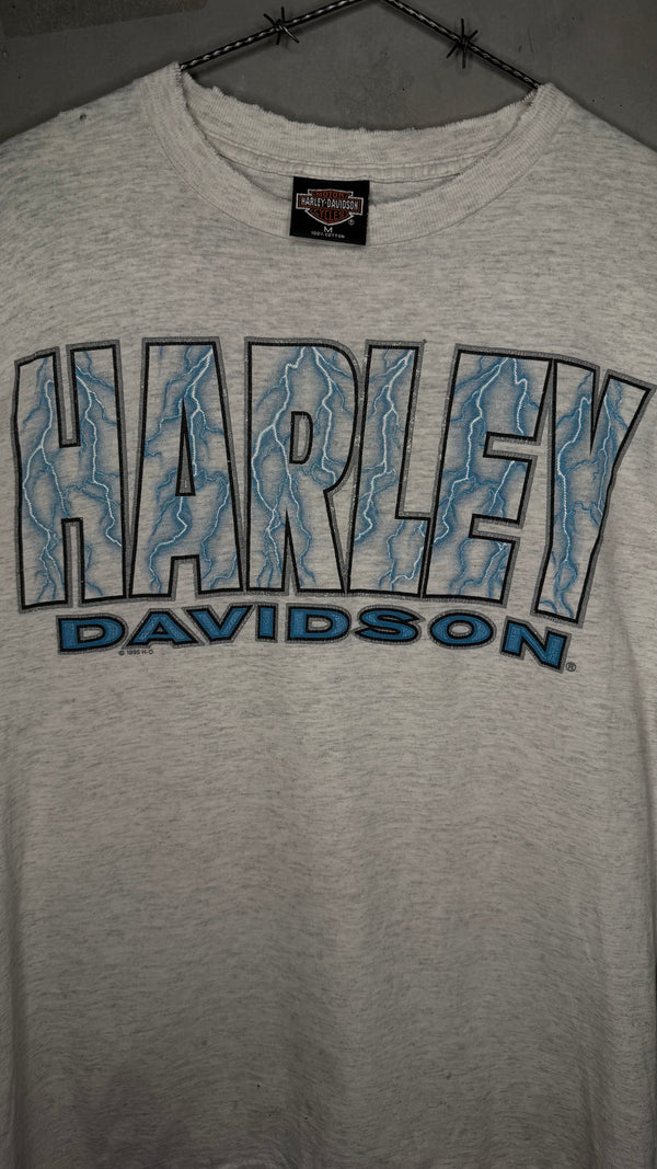 HARLEY-DAVIDSON LIGHTNING LONGSLEEVE | MESA, AZ BACKHIT