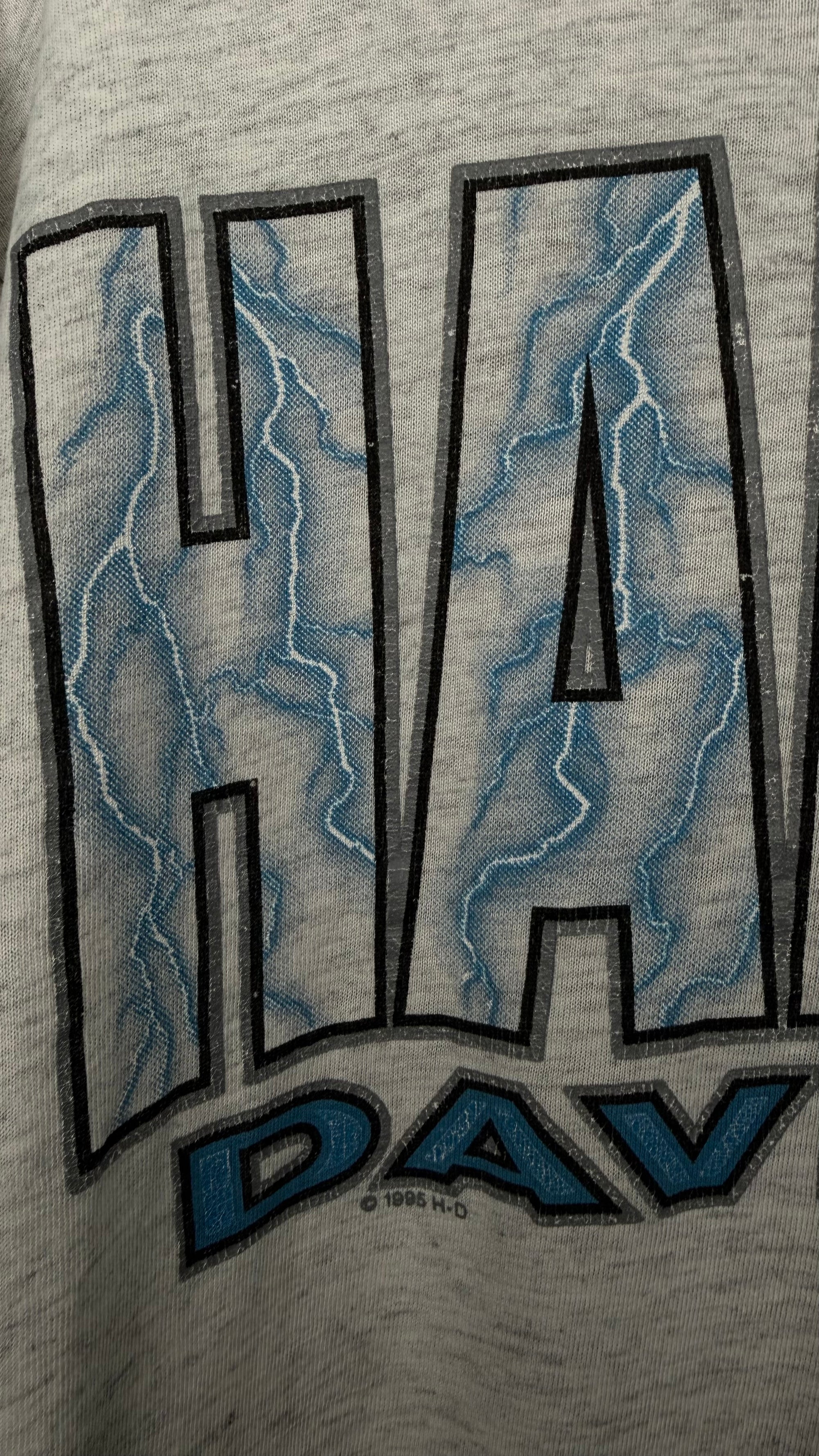 HARLEY-DAVIDSON LIGHTNING LONGSLEEVE | MESA, AZ BACKHIT