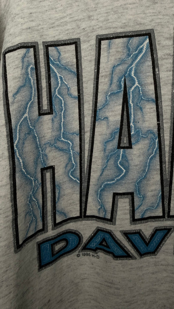 HARLEY-DAVIDSON LIGHTNING LONGSLEEVE | MESA, AZ BACKHIT