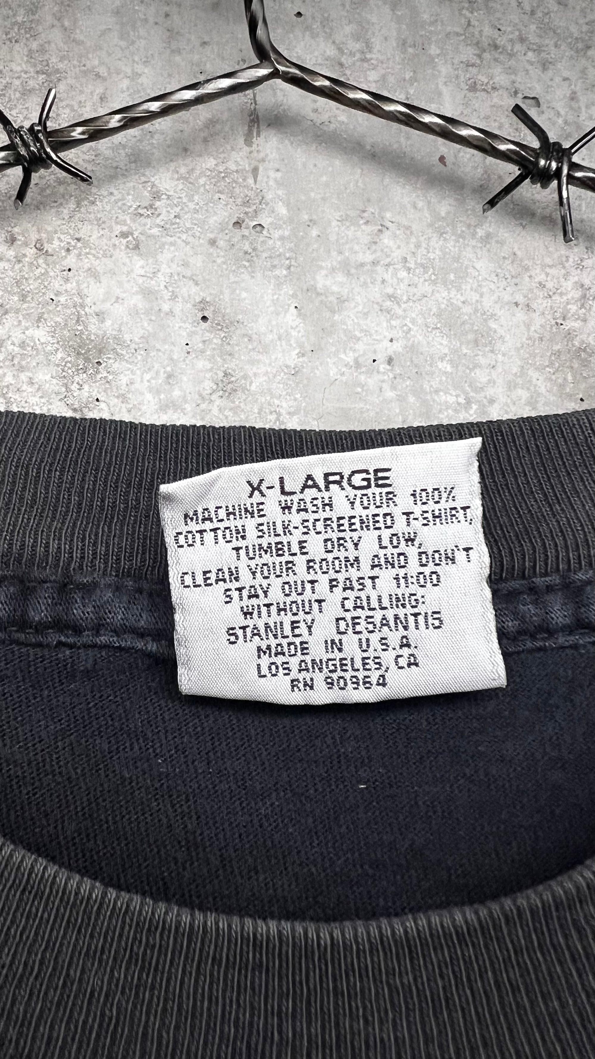 BEAVIS & BUTTHEAD PUNKS TEE