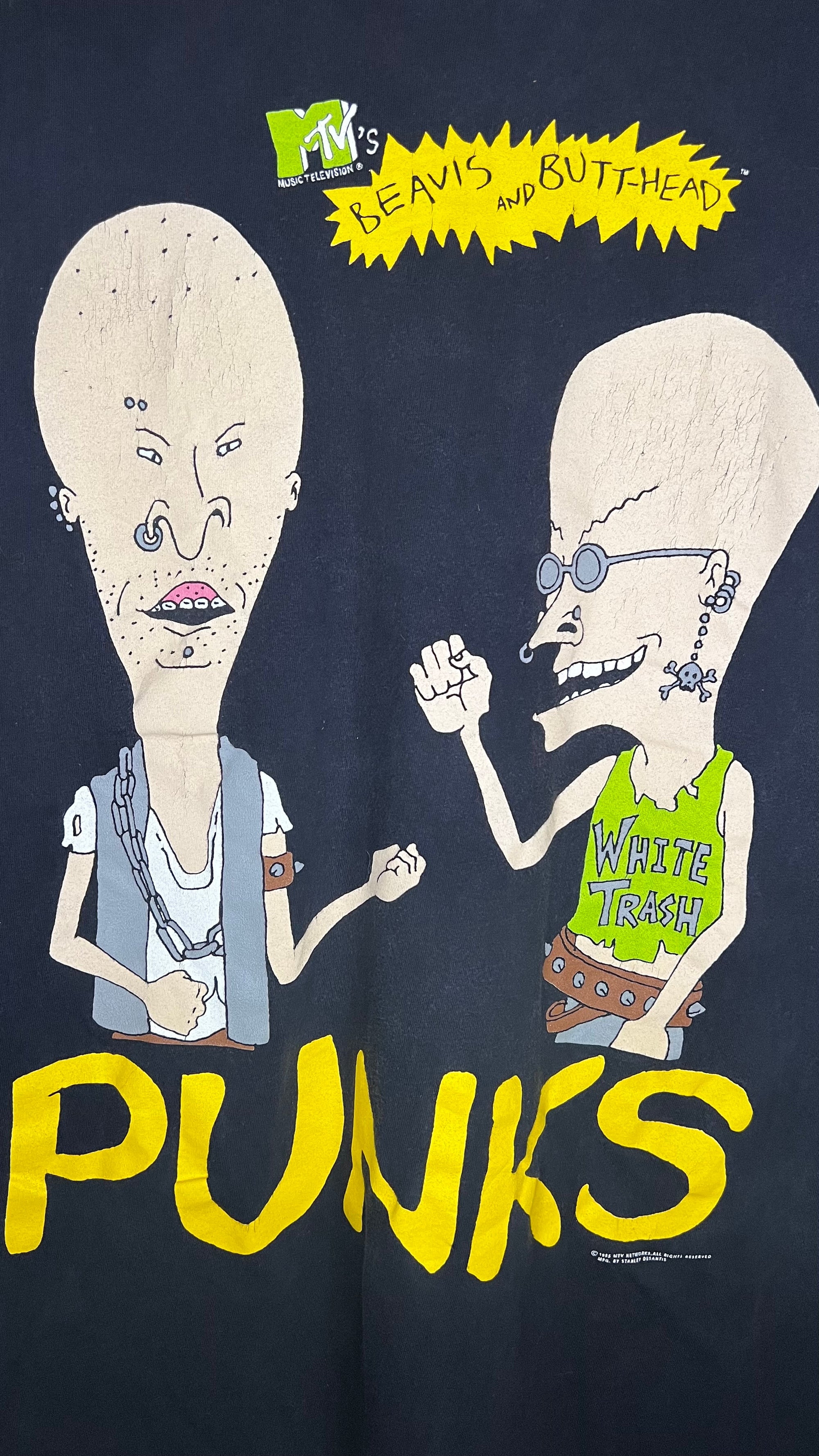 BEAVIS & BUTTHEAD PUNKS TEE