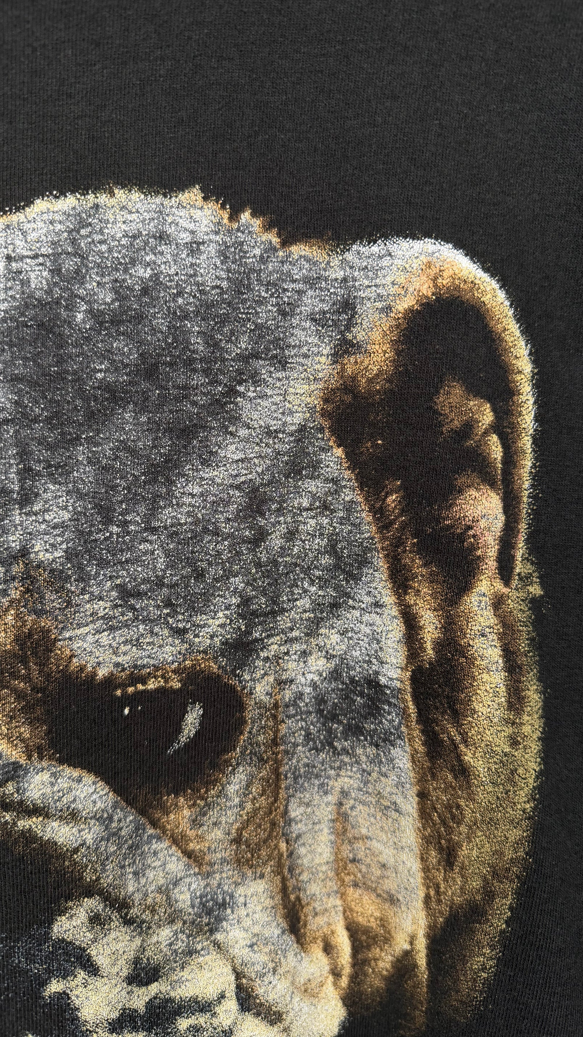 DINOSAUR JR. BULLDOG TEE