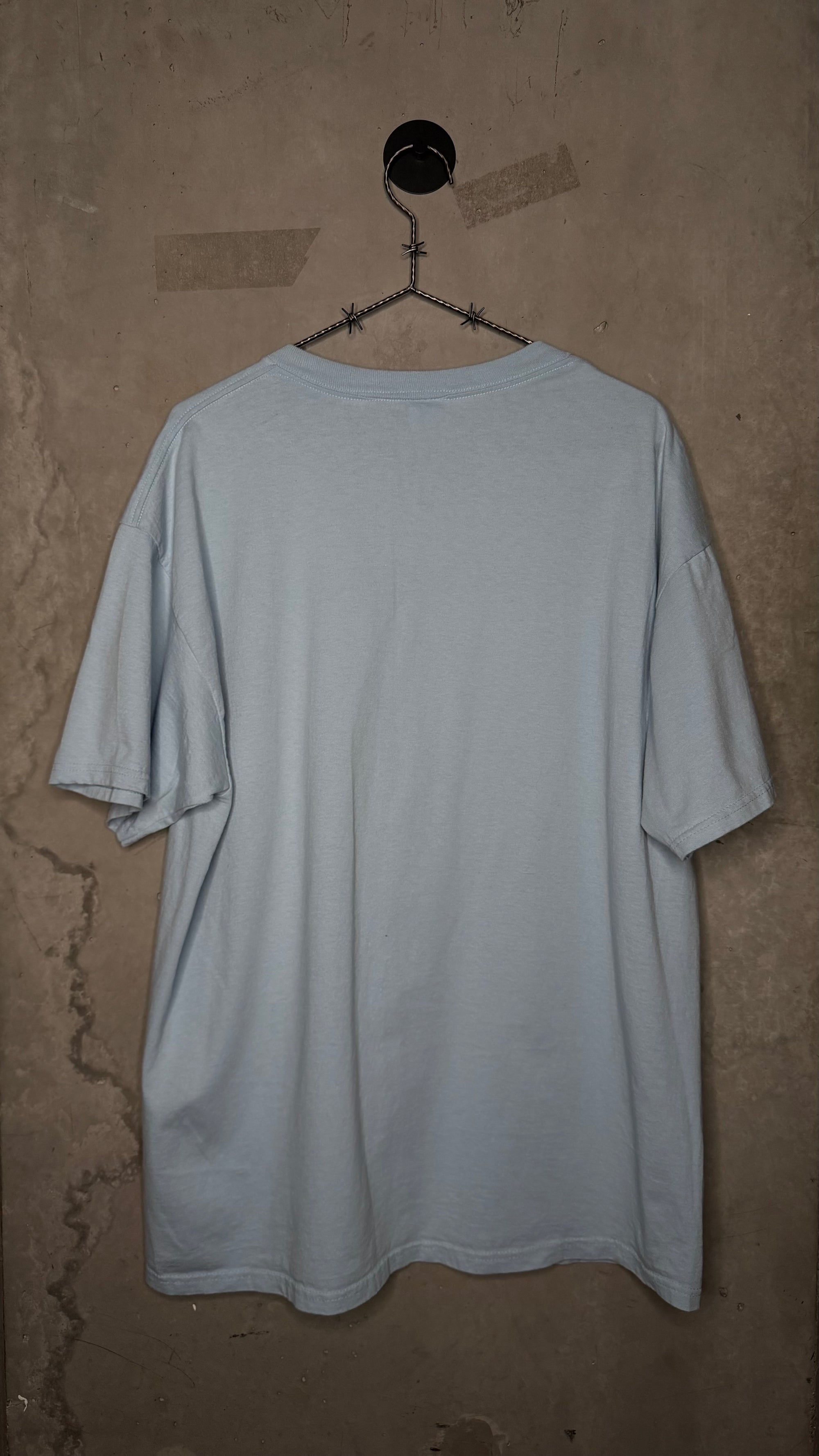 THE PROMISE RING TEE | ‘THE PROMISE RING IS WORTH THE RISK’