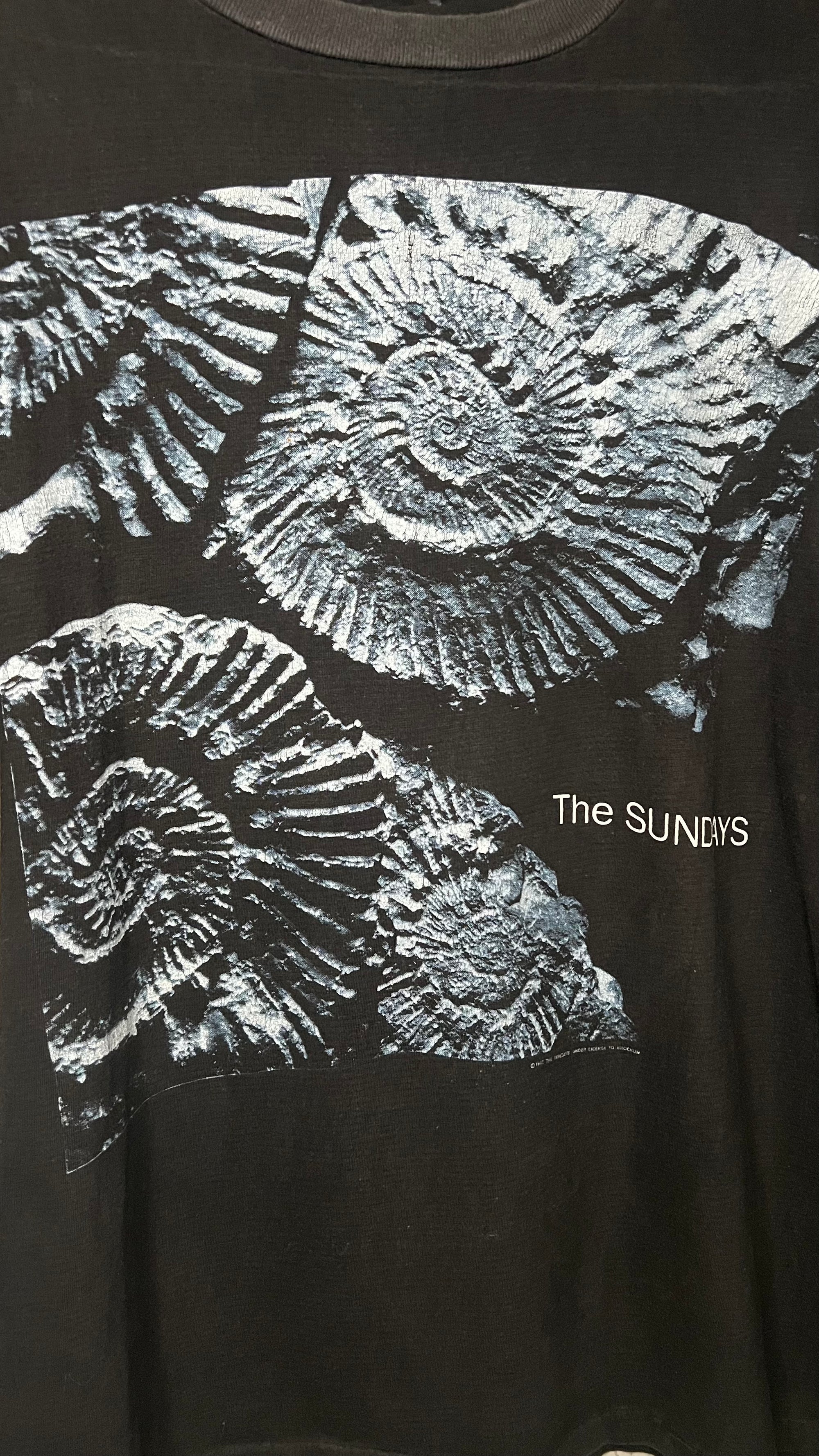 THE SUNDAYS READING, WRITING AND ARITHMETIC BIG PRINT ALBUM COVER ART TEE