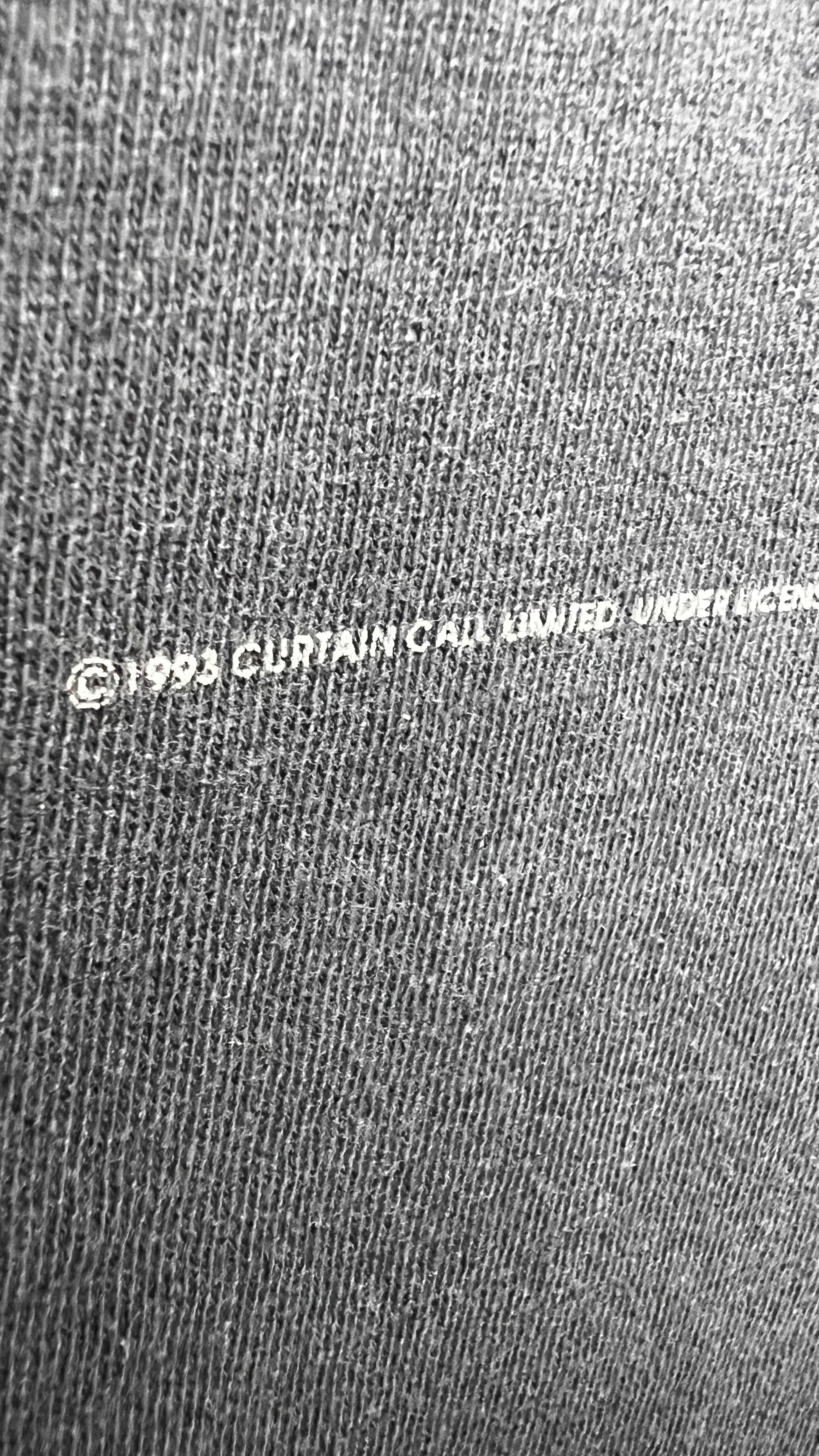 THE CRANBERRIES ‘EVERYBODY ELSE IS DOING IT, SO WHY CAN’T WE?’ FADED TEE