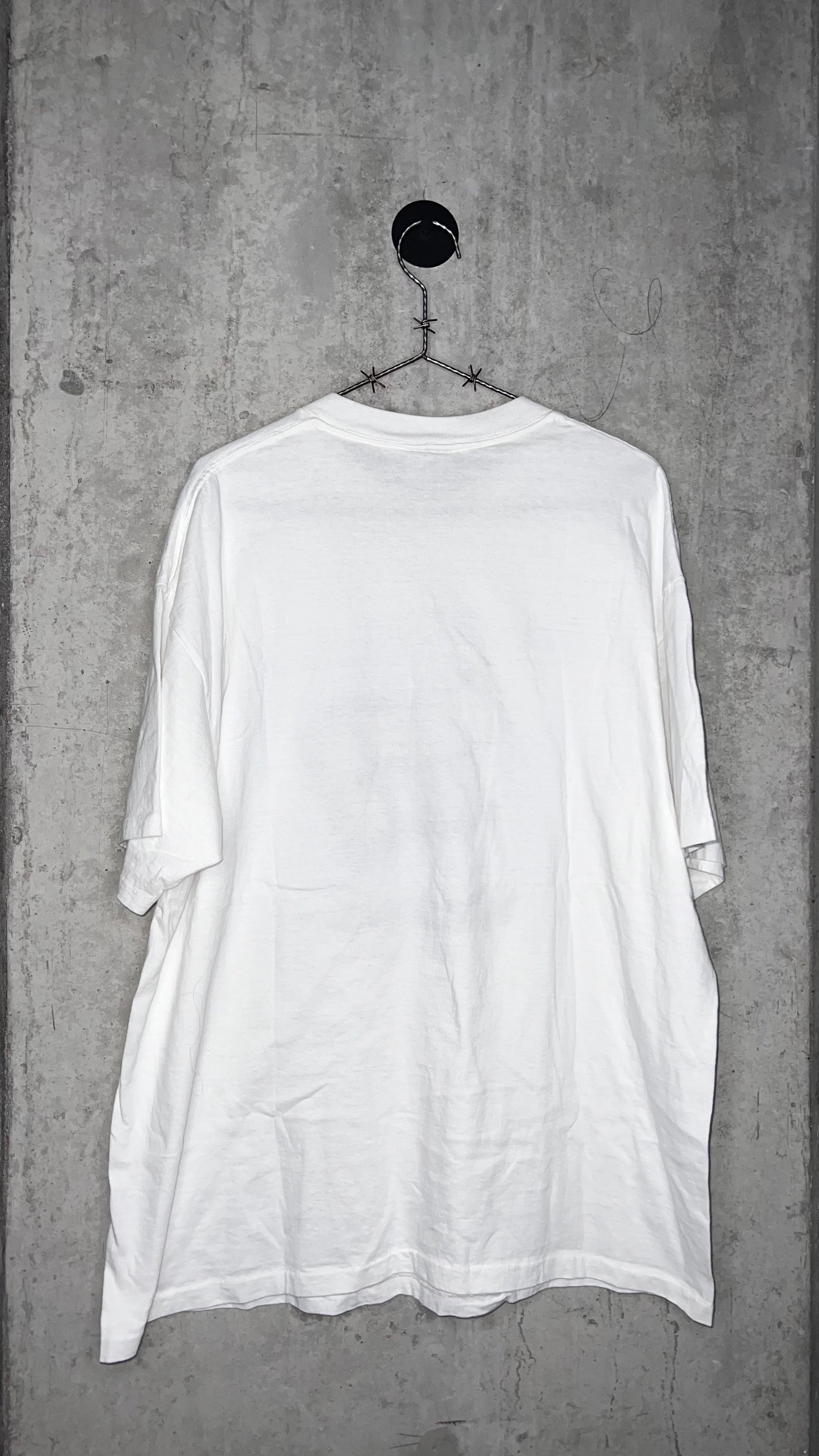 MICROSOFT WINDOWS 95 GRAIL